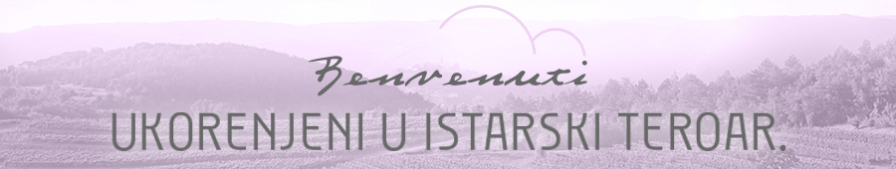 baner benvenuti vinski magazin vino fino