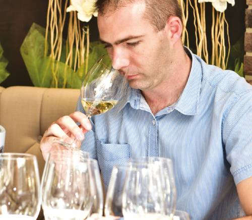 autor tomislav ivanović vinski magazin vino fino