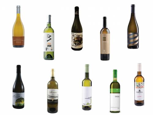 degustacija beli letnji favoriti vinski magazin vino fino