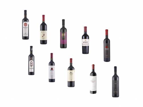 degustacija deset odličnih merloa iz srbije vinski magazin vino fino