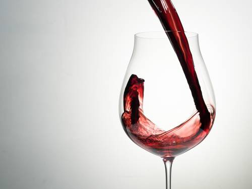 degustacija ima li budućnosti za srpski pino noar vinski magazin vino fino