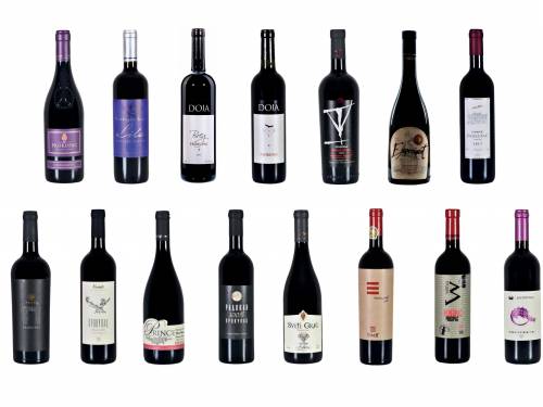 degustacija liga izuzetnih prokupaca vinski magazin vino fino