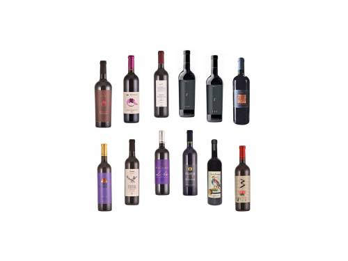 degustacija prokupac 12 veličanstvenih vinski magazin vino fino