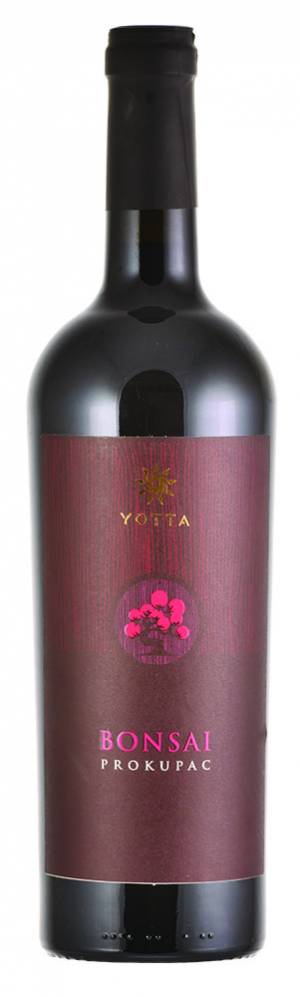 degustacija bonsai 2016 vinski magazin vino fino