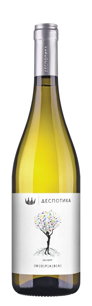degustacija morava 2019 vinski magazin vino fino