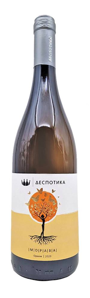 degustacija morava orange 2020 vinski magazin vino fino