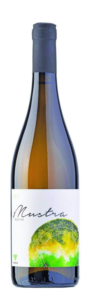 degustacija mustra 2020 vinski magazin vino fino