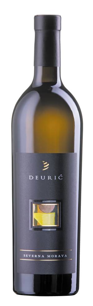 degustacija severna morava 2019 vinski magazin vino fino