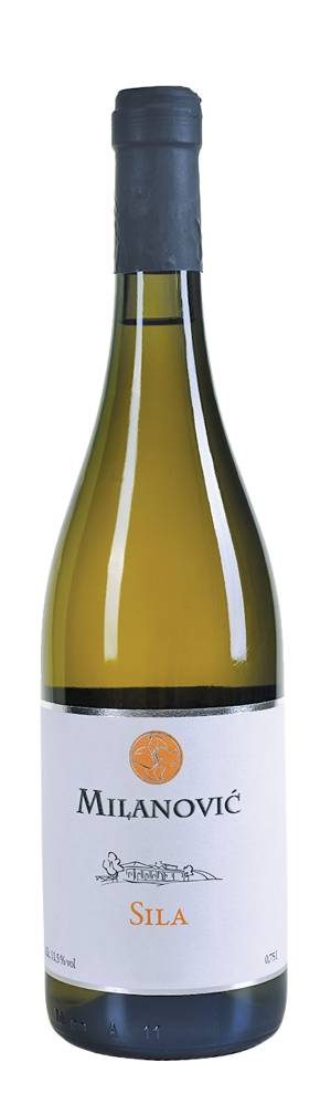 degustacija sila 2019 vinski magazin vino fino