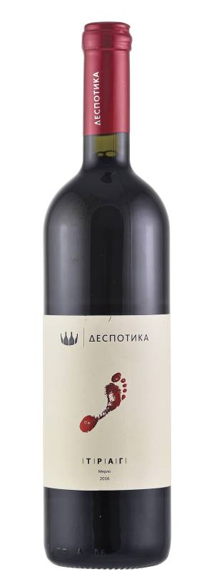 degustacija trag merlot 2016 vinski magazin vino fino