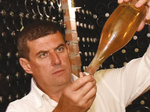 intervju dobro groŽĐe je suŠtina dobrog vina vinski magazin vino fino