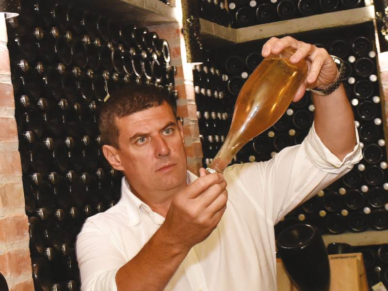 intervju dobro groŽĐe je suŠtina dobrog vina vinski magazin vino fino