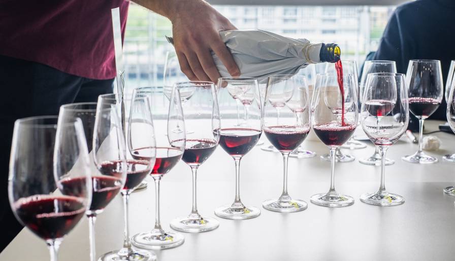izdvojeno magazin decanter ocenjuje naše autohtone sorte vinski magazin vino fino