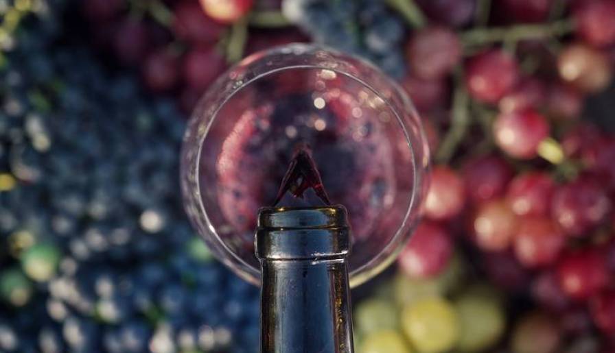 izdvojeno novostvorene sorte srbije neka sila bude sa vama vinski magazin vino fino