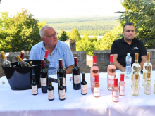 novost najbolje od fruške gore vinski magazin vino fino
