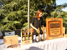 novost najbolje od fruške gore vinski magazin vino fino