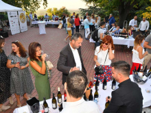 novost najbolje od fruške gore vinski magazin vino fino
