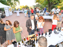 novost najbolje od fruške gore vinski magazin vino fino