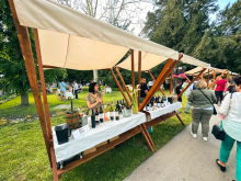 novost vinski spektakl u srcu zrenjanina vinski magazin vino fino