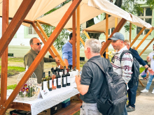 novost vinski spektakl u srcu zrenjanina vinski magazin vino fino