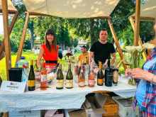 novost vinski spektakl u srcu zrenjanina vinski magazin vino fino