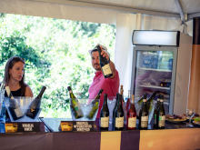 novost vinskim koracima po fruŠkoj gori vinski magazin vino fino