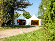 novost vinskim koracima po fruŠkoj gori vinski magazin vino fino