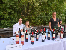novost fruškogorska vinska bajka u Čortanovcima vinski magazin vino fino