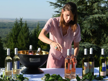 novost fruškogorska vinska bajka u Čortanovcima vinski magazin vino fino