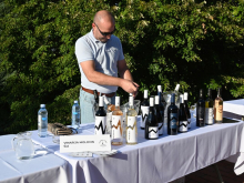 novost fruškogorska vinska bajka u Čortanovcima vinski magazin vino fino