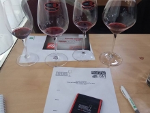 novost dan srpske sorte obeležen je na svetskom nivou vinski magazin vino fino