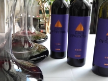 novost dan srpske sorte obeležen je na svetskom nivou vinski magazin vino fino