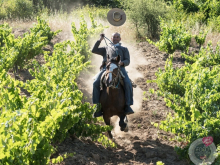 novost Čišćenje vinarije najbolja vinska fotografija u 2019 vinski magazin vino fino