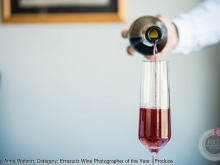novost Čišćenje vinarije najbolja vinska fotografija u 2019 vinski magazin vino fino
