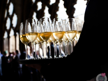 novost Čišćenje vinarije najbolja vinska fotografija u 2019 vinski magazin vino fino