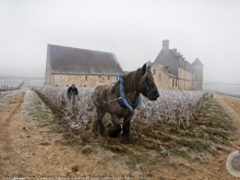 novost Čišćenje vinarije najbolja vinska fotografija u 2019 vinski magazin vino fino