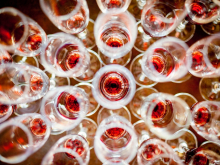 novost Čišćenje vinarije najbolja vinska fotografija u 2019 vinski magazin vino fino