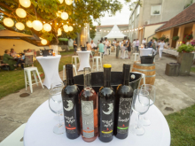 novost velika letnja žurka u vinariji do kraja sveta vinski magazin vino fino