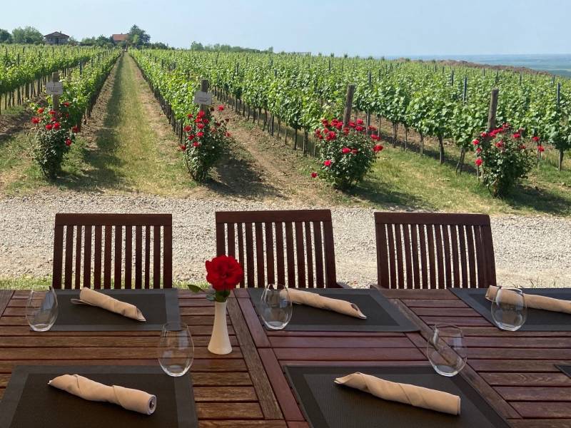 novost atelje vina Šapat ima novi vrhunski tim vinski magazin vino fino