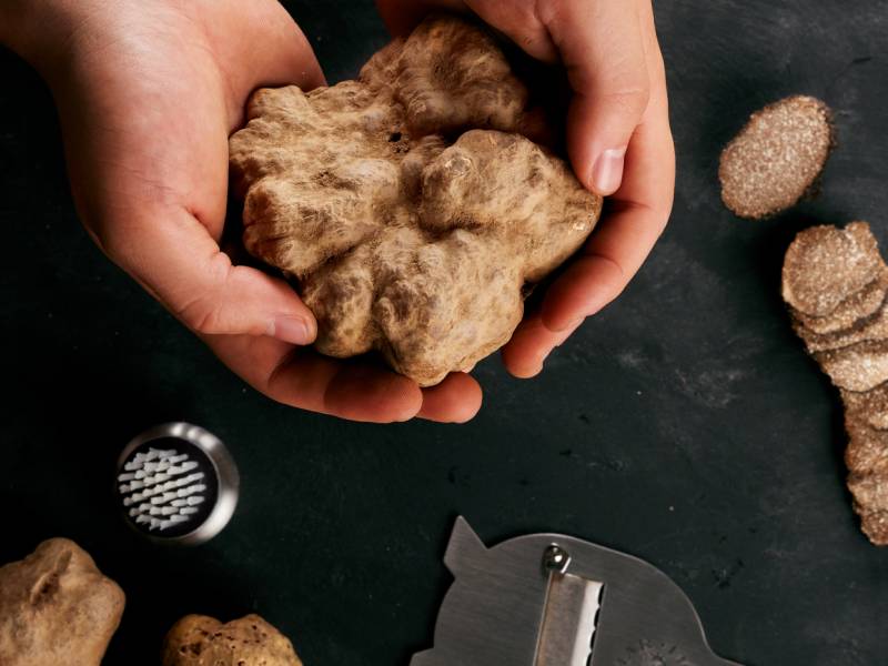 novost damar tartufi - puls prirode vinski magazin vino fino