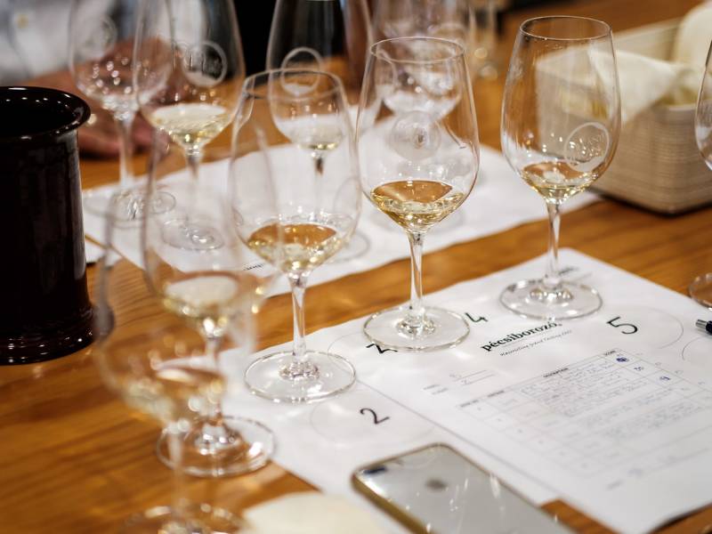 novost dominacija grašaca iz srbije vinski magazin vino fino