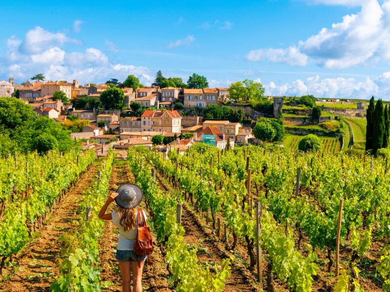 novost eu usvojila veliki paket mera za podršku vinarima vinski magazin vino fino