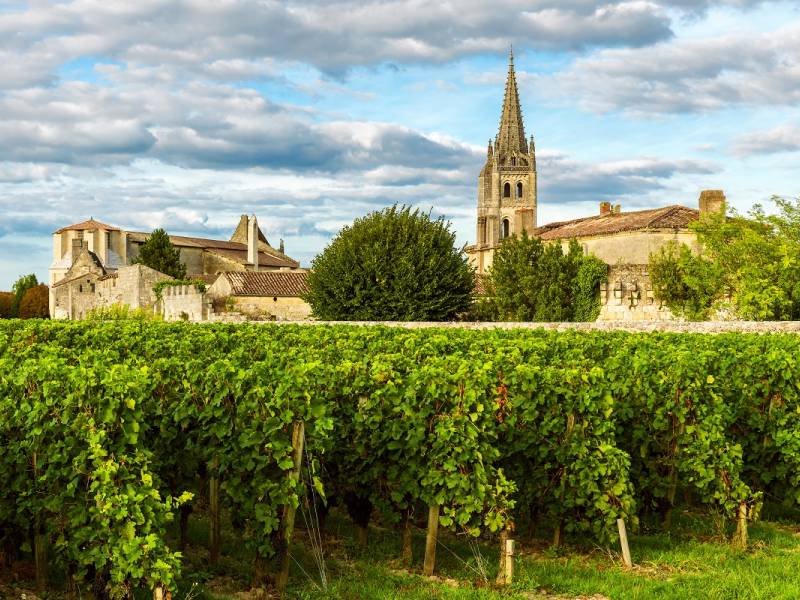 novost francuska plaća za krčenje vinograda u bordou vinski magazin vino fino