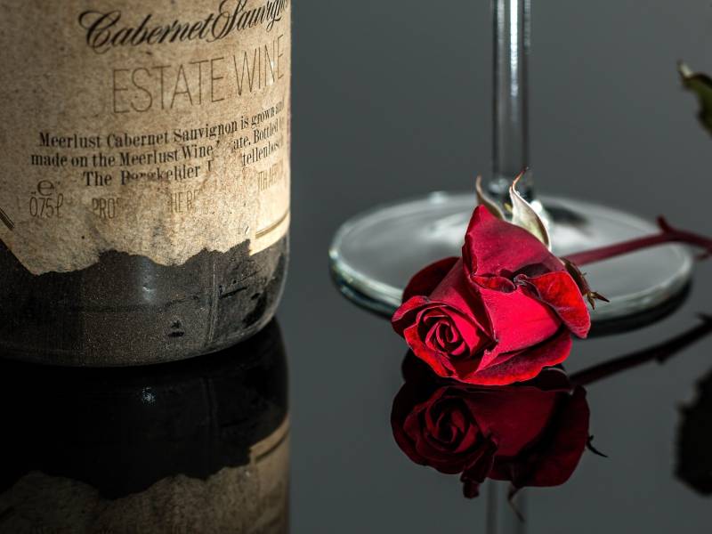 novost francuski lekar nema sreće bez vina i ljubavi vinski magazin vino fino