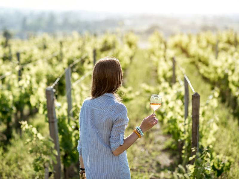novost francuzi odbacuju vino u korist piva vinski magazin vino fino