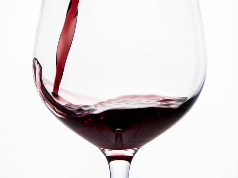novost i mi konja za trku imamo vinski magazin vino fino