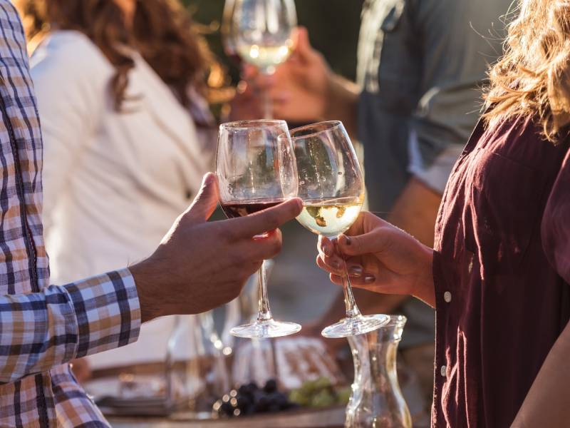 novost i pančevo je dobilo svoj vinski festival vinski magazin vino fino