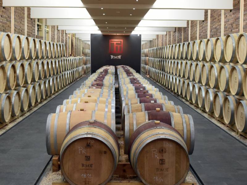 Novost Iskrena Vina Sa Nase Zemlje Vinski Magazin Vino Fino Magazin O Vinskoj I Gurmanskoj Kulturi
