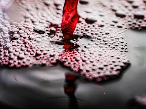 novost ljubičasti snovi vinski magazin vino fino