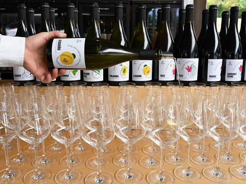 novost mlado vino u harmoniji sa prirodom vinski magazin vino fino